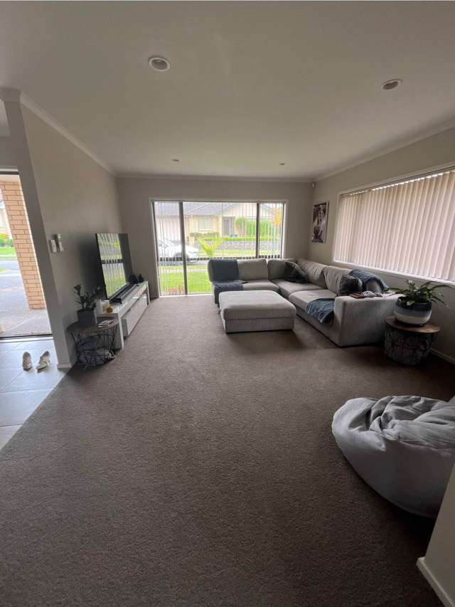 48 Salford Crescent Flat Bush_4