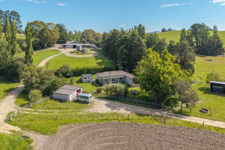 299 Domett Road Domett_31