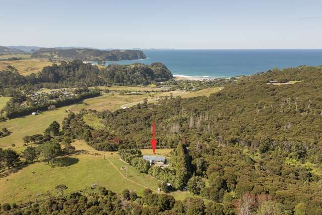 Lot 7/104 Taiwawe Lane Hot Water Beach_4