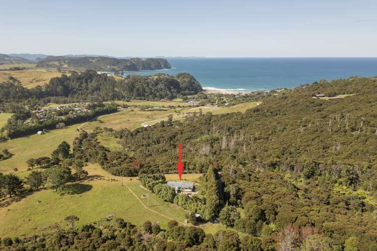 Lot 7/104 Taiwawe Lane Hot Water Beach_4