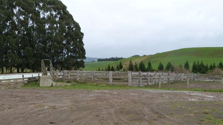 44 Rodgers Road Catlins Surrounds_15