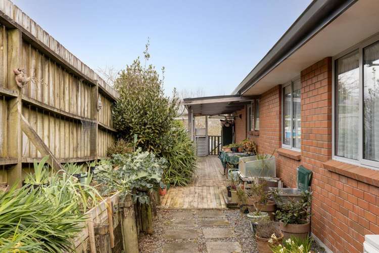 5 Olive Close Omokoroa_14