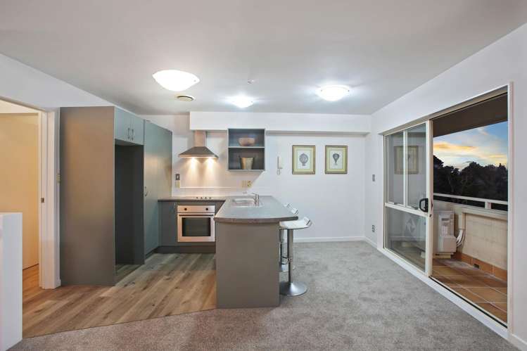 3/81 Birkenhead Avenue Birkenhead_8