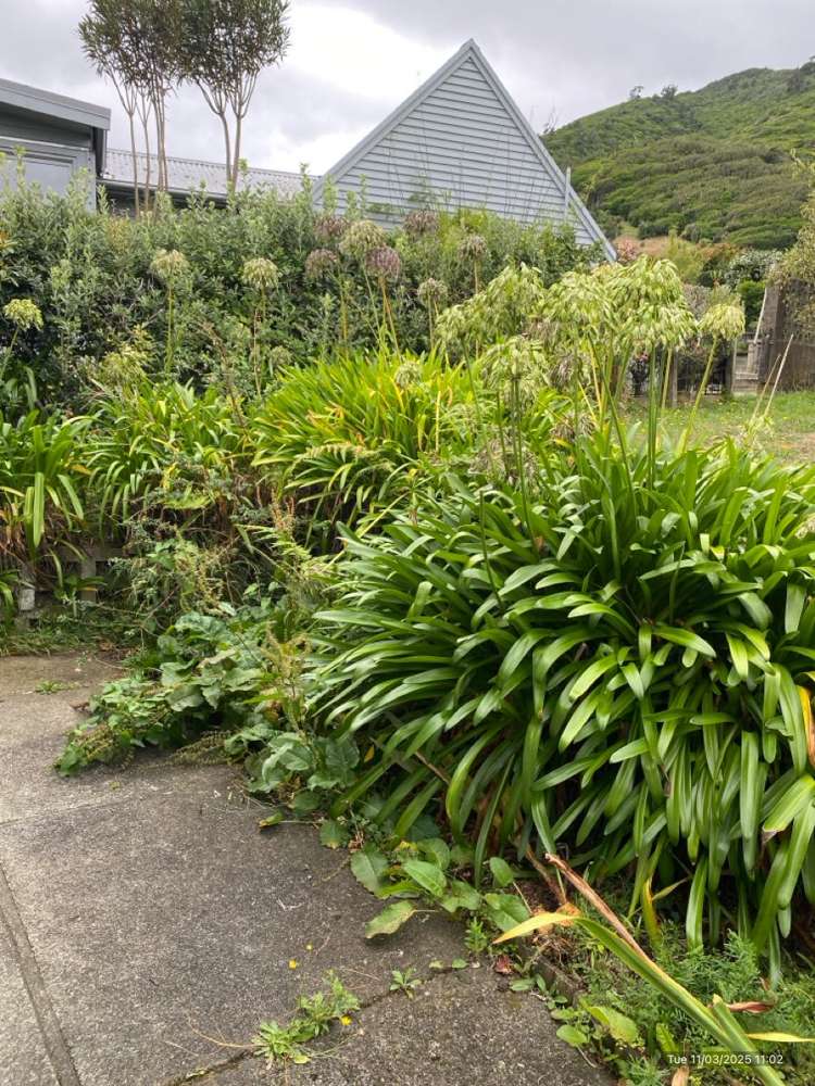9 Kotare Street Waikanae_18
