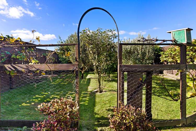 61 Mallard Drive Selwyn Heights_16