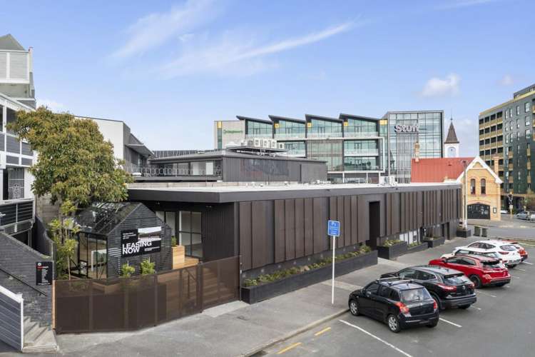 7 Rose Road Grey Lynn_14