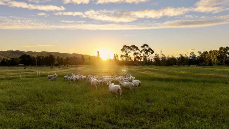 136 Hardings Road Riverlands_24