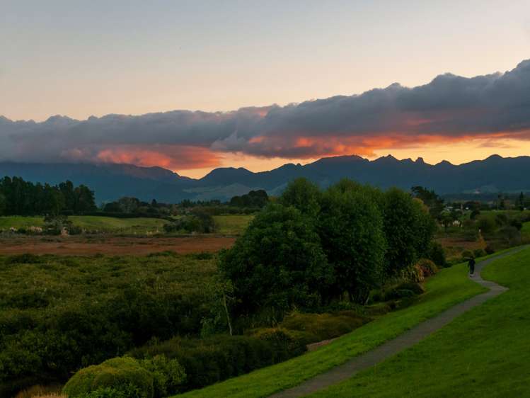 36 Preston Drive Katikati_17