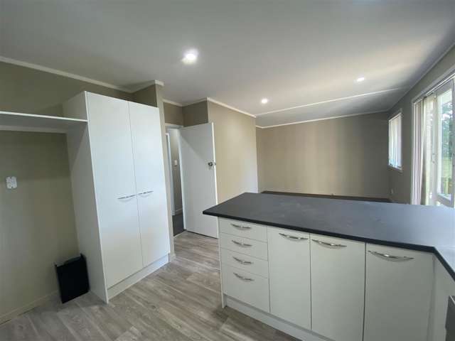 56 Reeves Road Pakuranga_3