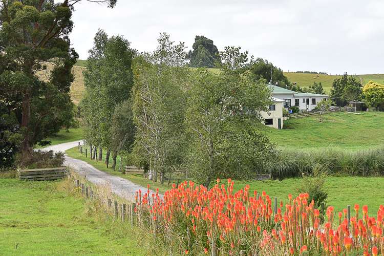 217 Benhar Road Balclutha_11