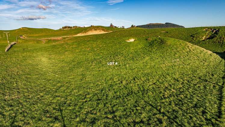 Lots 1 - 4, 2333 Puketitiri Road Rissington_16