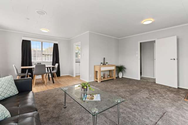 7 Hinau Street Pukehangi_2