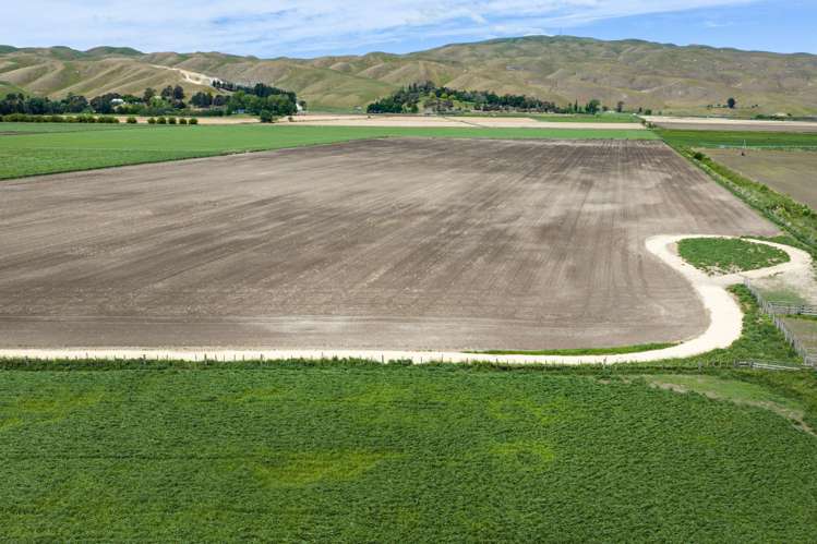 85 West Road Havelock North_18