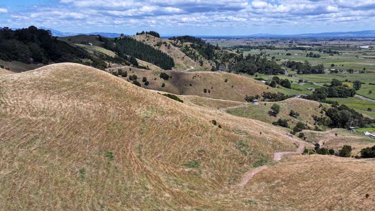 8328 Paeroa-Kopu Road Paeroa_2