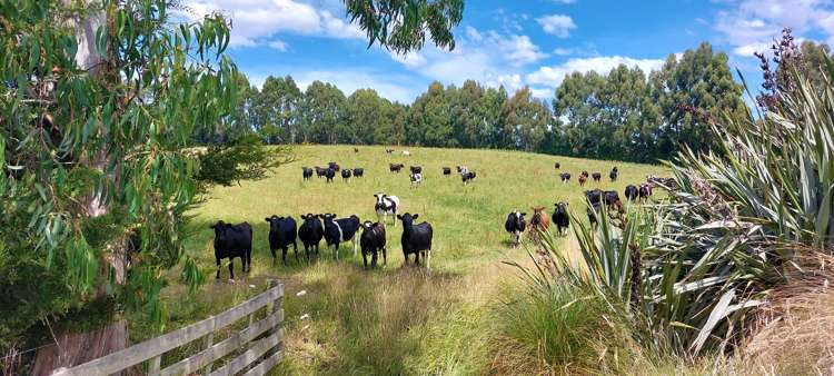 120 Roughan Road Southland_2