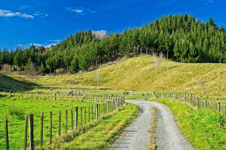 Ormond Valley Road Ormond_14