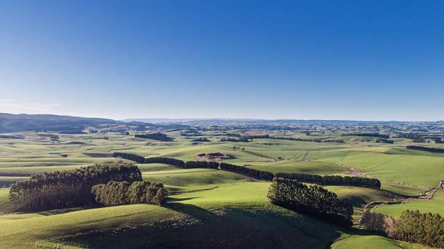 41 Manuka Road, 191 Benny Road, 160 Chapman Road Rongahere_1