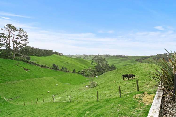 350 Awai Road Tarurutangi_11