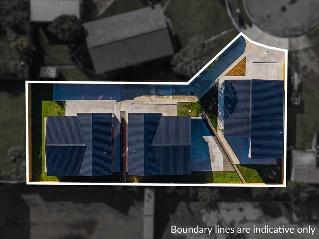 5B Cook Street Levin_1
