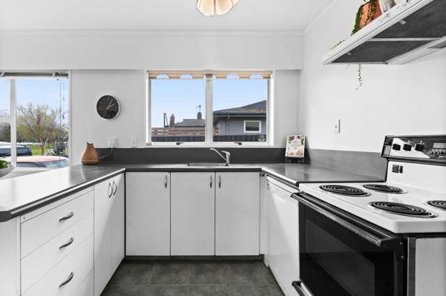 293 Westminster Avenue Tamatea_2