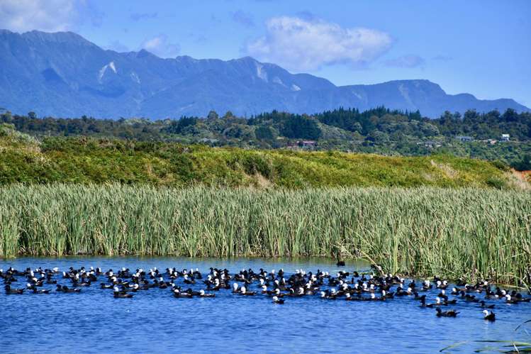 Lot 4 Nth Karamea Road Karamea_37