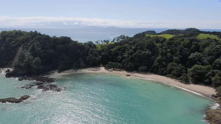 Lot 1 Tern Lane Whananaki_11