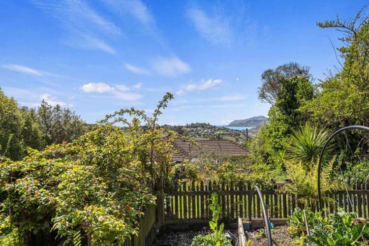 22 Matipo Terrace Toi Toi_5