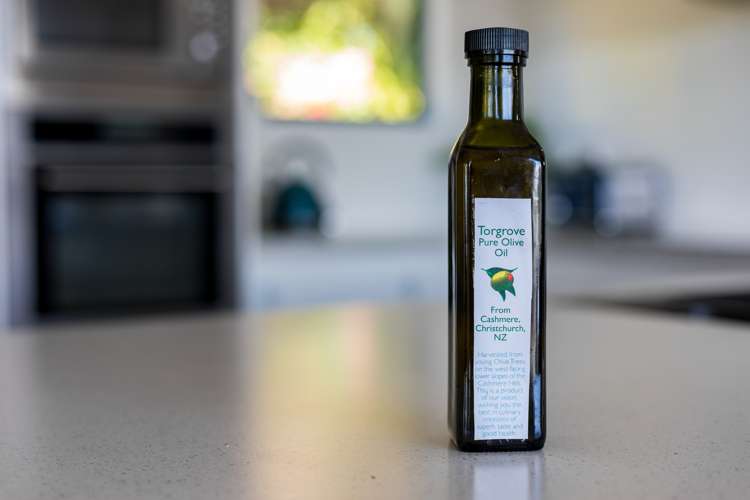 15 Gunns Crescent Cashmere_4