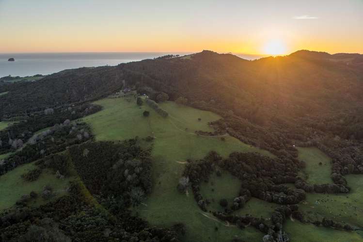 104 Taiwawe Lane Hot Water Beach_23