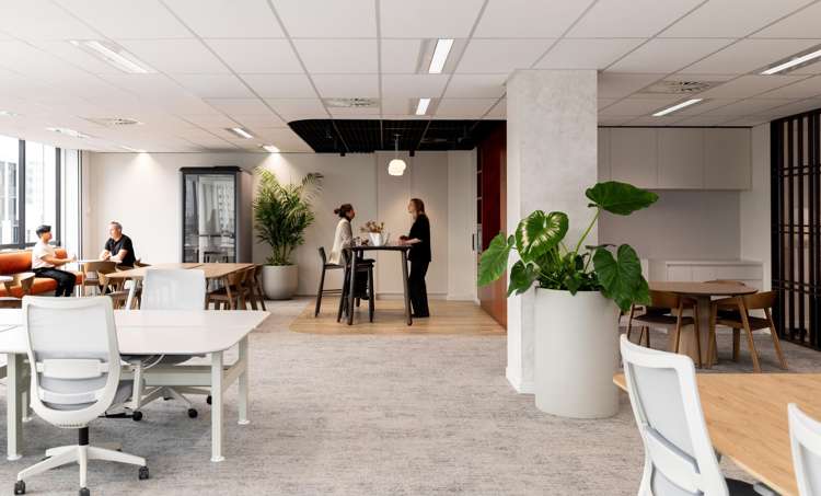 Suite 2/2 Wakefield Street Auckland Central_1