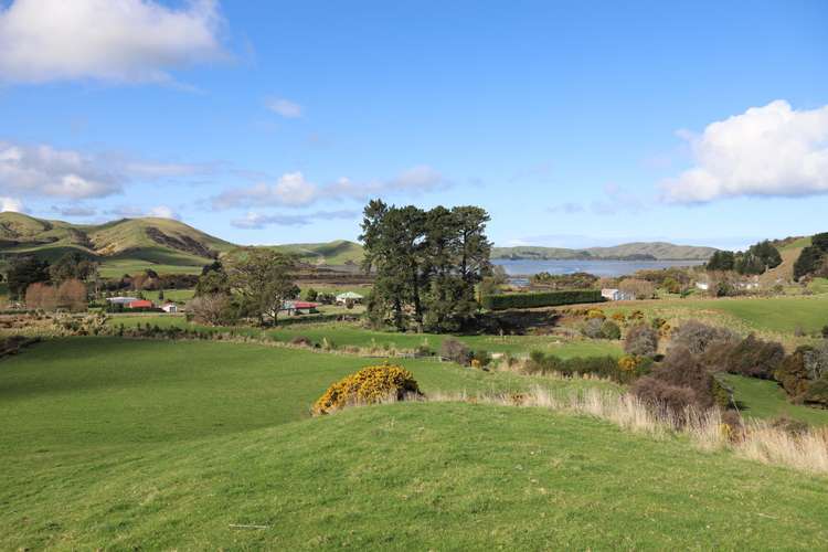 342 Niagara Waikawa Road Catlins Surrounds_9