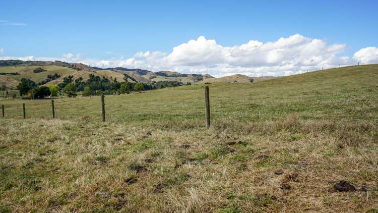 2586 State Highway 2 Maramarua_24