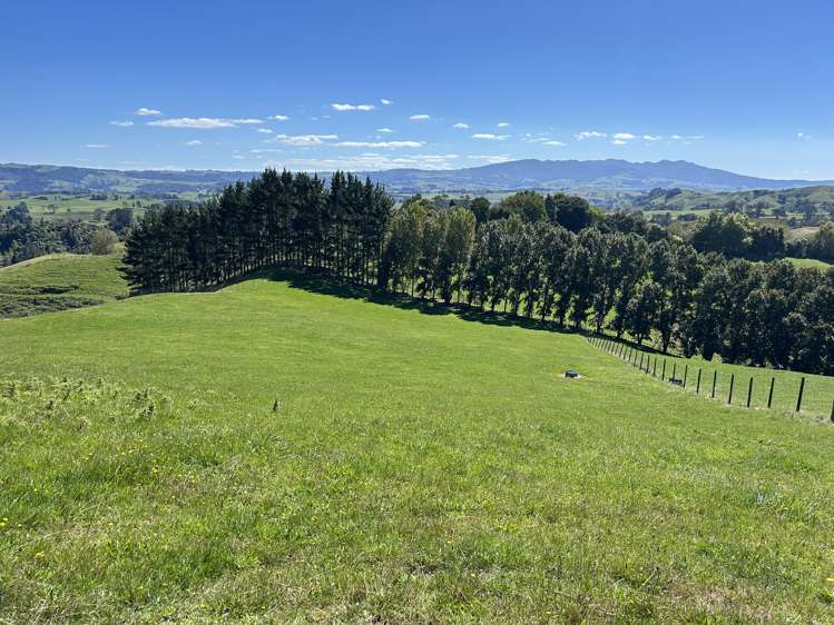 481 Honikiwi Road Otorohanga_2