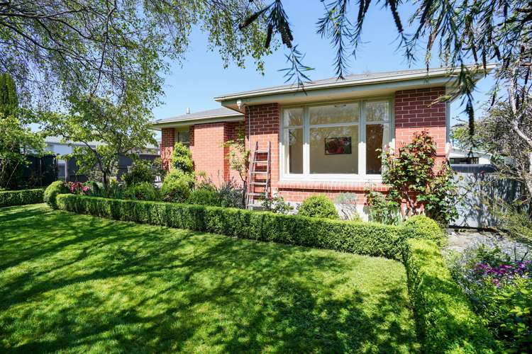 285 Chelmsford Street Waverley_17