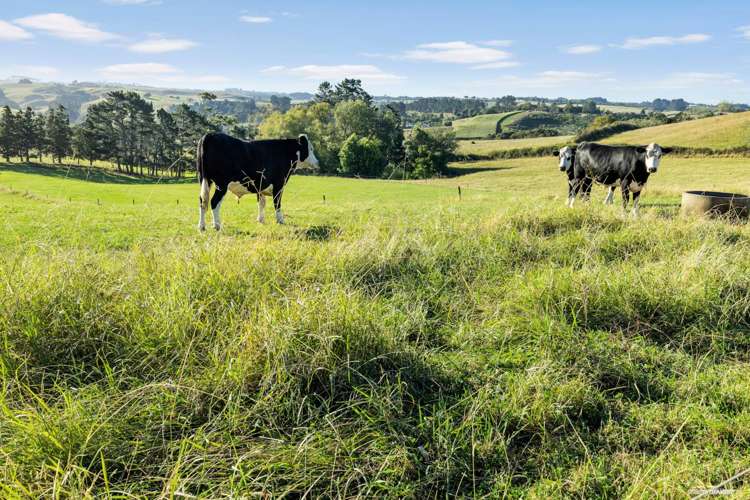 146 Aka Aka Road Puni_21