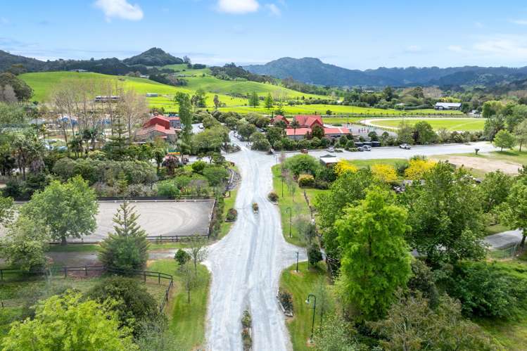 Leigh Road Matakana_21