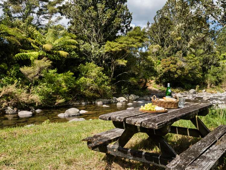 424A Hot Springs Road Katikati_29