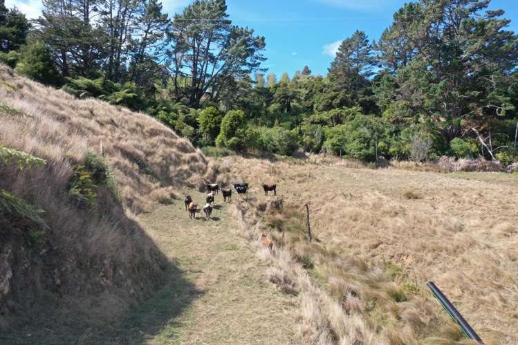 1017 Waingaro Road Glen Massey_7