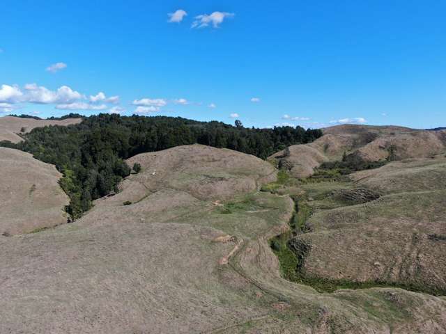 1494 State Highway 4 Aria_4