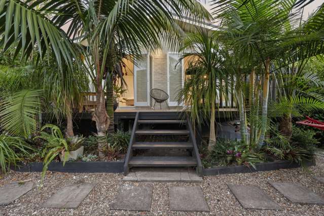 Point Chevalier | Professionals