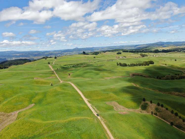 537 Tapuwae Road Benneydale_23