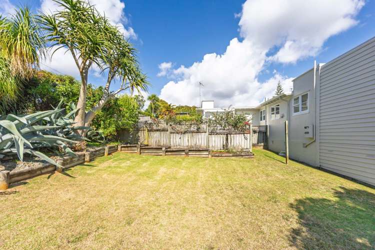 55 Seaview Terrace Mount Albert_11