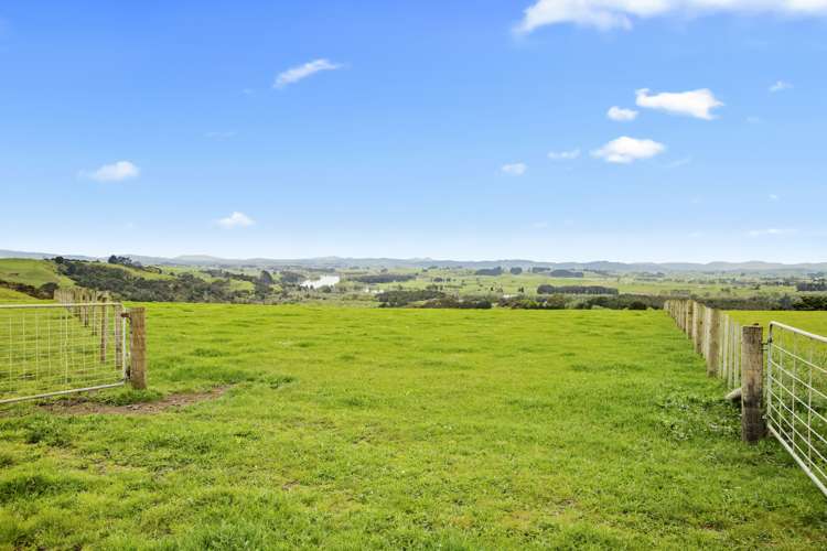 89 Punga Punga Road Pukekawa_6