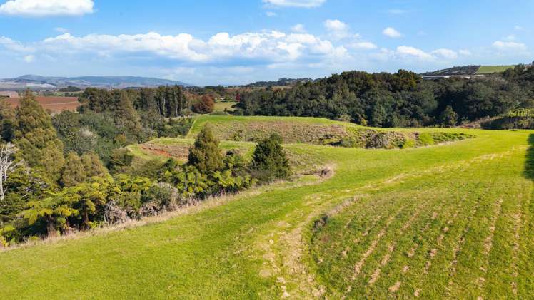 4 Nandina Lane Pukekohe_3