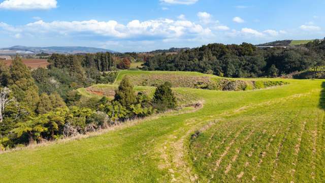 4 Nandina Lane Pukekohe_3