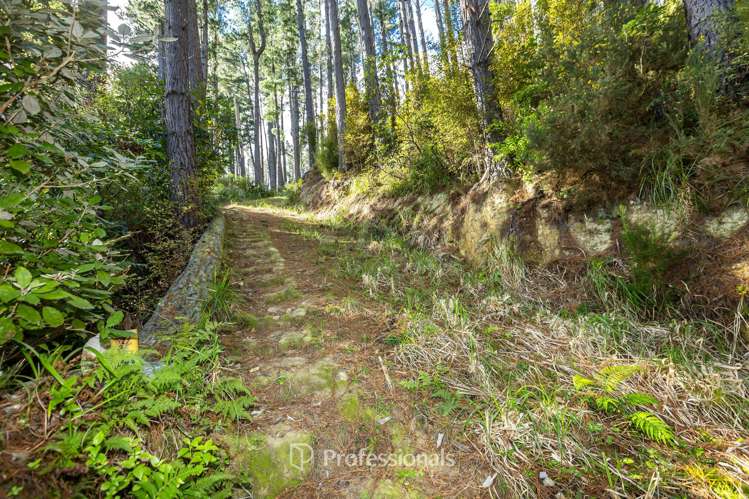 111 and 113 Blue Mountains Road Blue Mountains_3