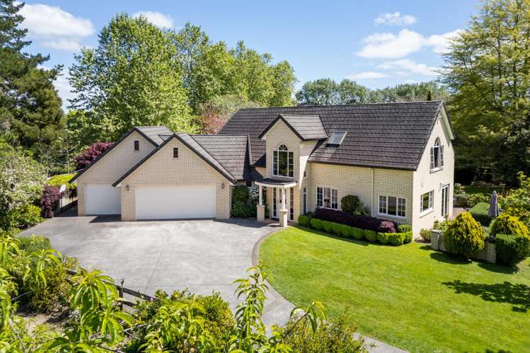 47D Poplar Lane Matangi_0