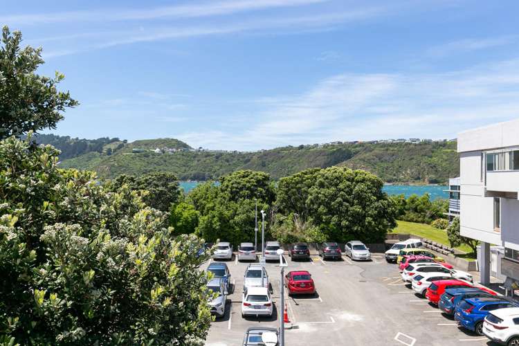41/305 Evans Bay Parade Hataitai_16