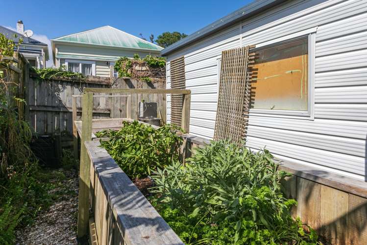 74 Watt Street Coromandel_11