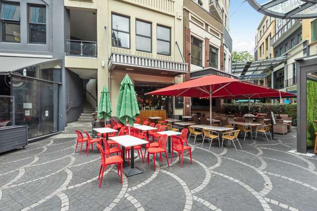 C103/13 Bacons Lane Auckland Central_2